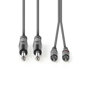 Nedis Stereo-Audiokabel | 2x 6,35 mm Male | 2x RCA Male | 5 m | 1 stuks - COTH23320GY50 COTH23320GY50