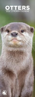 Otters Slimline Kalender 2026