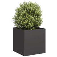 VidaXL Plantenbak 40x40x40 cm koudgewalst staal zwart