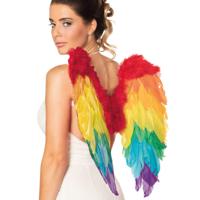 Vleugels regenboog