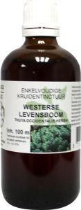 Natura Sanat Thuja occidentalis / levensboom tinctuur (100 ml)