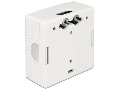 DeLOCK Network Wall Outlet 2 Port Cat.6A LSA montagedoos