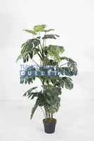 Monstera - 120 cm Monstera - 120 cm