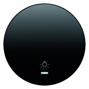 Berker wip met lens lichtsymbool R1-R3 zwart 16212035