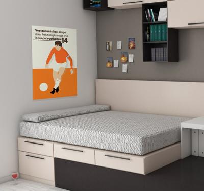 Nederlandse voetballer poster
