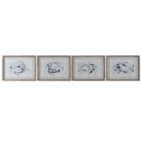 Schilderij Home ESPRIT Grijs Vis (4 Stuks)
