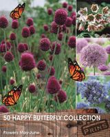 Prins Happy vlinder collectie 50 bollen