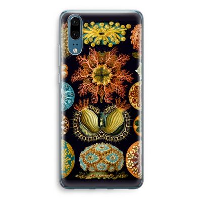 Haeckel Ascidiae: Huawei P20 Transparant Hoesje