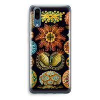 Haeckel Ascidiae: Huawei P20 Transparant Hoesje