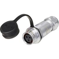 Weipu SF1211/S3 I Ronde connector Koppeling, recht Totaal aantal polen: 3 Serie (ronde connectoren): SF12 1 stuk(s)