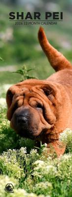 Shar Pei Slimline Kalender 2026