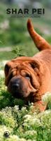 Shar Pei Slimline Kalender 2026