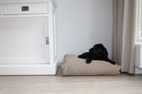 Dog's Companion® Beige benchkussen 65 x 50 x 10 cm
