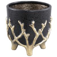 PTMD bloempot quin l zwart 17 cm | 8 stuks