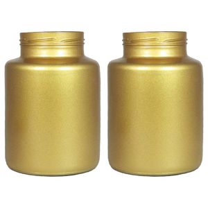 Set van 2x bloemenvazen - mat goud glas - H25 x D17 cm - Vazen