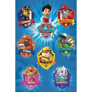 Kinderfeest poster Paw Patrol