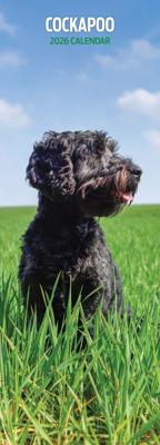 Cockapoo Kalender 2026 Slimline