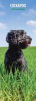Cockapoo Kalender 2026 Slimline