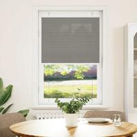 VidaXL Plissé rolgordijn 70x100 cm stofbreedte 69,4 cm antraciet VidaXL Plissé rolgordijn 70x100 cm stofbreedte 69,4 cm antraciet