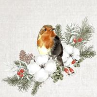 Duni servetten robin forest 33x33cm - thumbnail