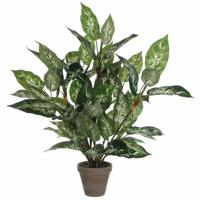 Mica Decorations groene Dieffenbachia kunstplant - 70 cm - in pot - Kunstplanten/nepplanten