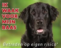 Flatcoated Retriever Waakbord