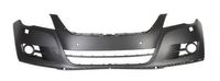 Bumper 5510009548900P