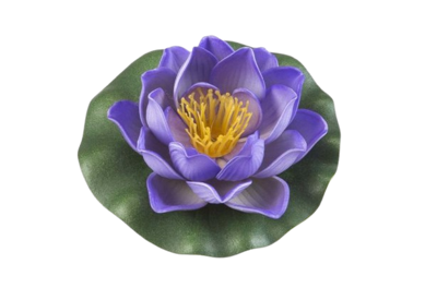 Lotus Foam Purple 10 cm