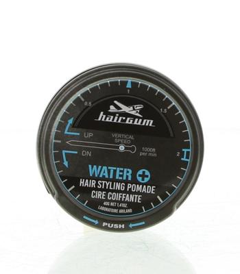 Hairgum Hair Styling Pomades Water+ Pomade Ref.0229033 40 gr