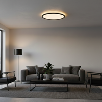 Lyora PlafonniereAoton zwart Ø 40cm - 9030509