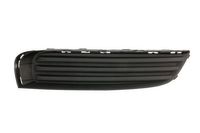 Ventilatiegrille, bumper 6502075079918P