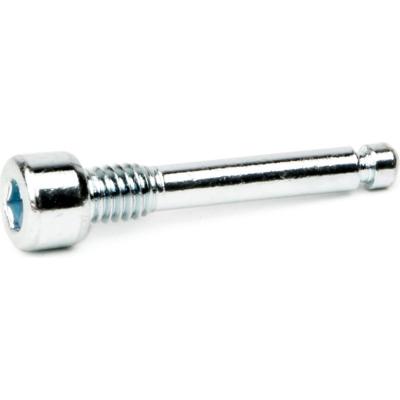 Elvedes Ds bevestigingsbout m4x22 (10)