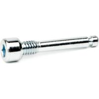 Elvedes Ds bevestigingsbout m4x22 (10)