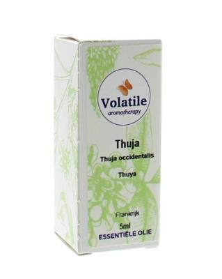 Volatile Thuja