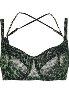 Marlies Dekkers soutien-gorge Rhapsody - Vert