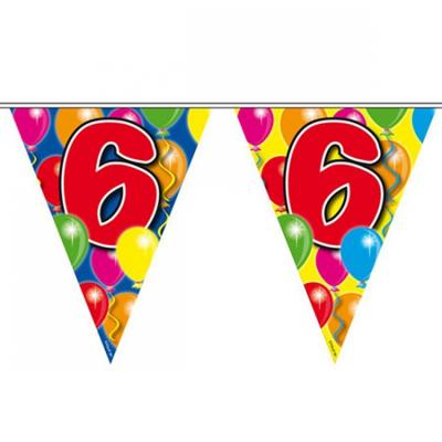 Leeftijd vlaggenlijn - 6 jaar - 10 meter - verjaardag versiering - vlaggetjes Leeftijd vlaggenlijn - 6 jaar - 10 meter - verjaardag versiering - vlaggetjes