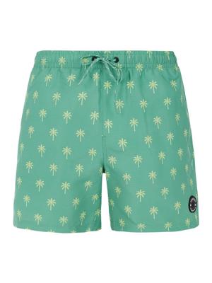 Protest PRTALVIS Zwemshort Heren S