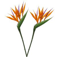 Kunstbloem Strelitzia - 2x - 65 cm - losse tak - kunst zijdebloem - Paradijsvogelplant - decoratie