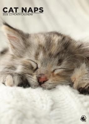 Cat Naps A3 Kalendar 2026 Cat Naps A3 Kalendar 2026