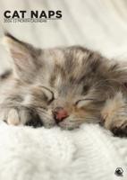 Cat Naps A3 Kalendar 2026