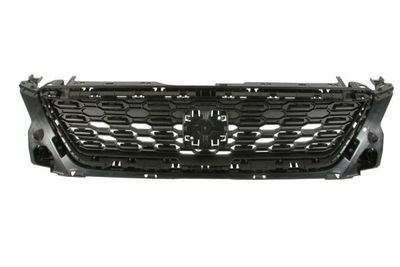 Radiateurgrille 6502076623990Q