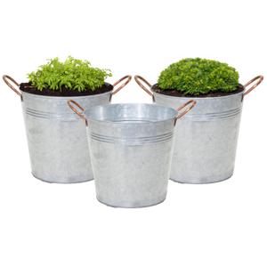 Plantenpot/bloempot emmer Jean - 3x - zink - zilver - D20 X H17 cm