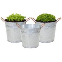 Plantenpot/bloempot emmer Jean - 3x - zink - zilver - D20 X H17 cm - thumbnail