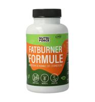 Green coffee fat burner Green coffee fat burner