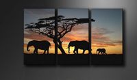 Schilderij - Olifant Afrika, Zwart/Oranje, 160X90cm , 3luik - thumbnail