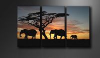 Schilderij - Olifant Afrika, Zwart/Oranje, 160X90cm , 3luik