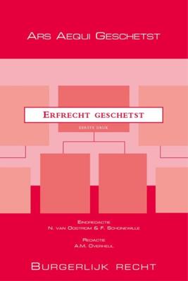 Erfrecht geschetst (Paperback)