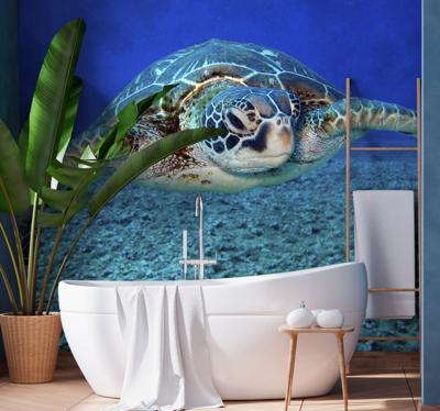 Dieren fotobehang Karetschildpad zeeschildpad