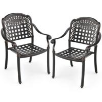 Set van 2 Tuinstoelen van Gegoten Aluminium Stapelbare Terrasstoelen met Armleuningen Stapelstoelen Tuinstoel voor Balkon Achtertuin