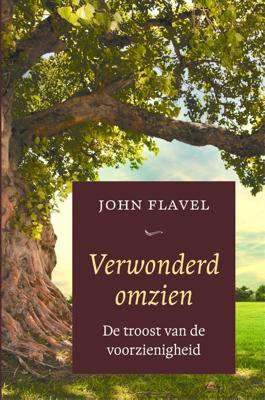 Verwonderd omzien - John Flavel - ebook